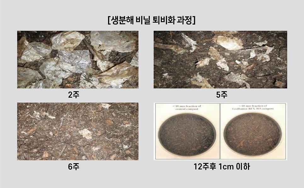화이트환경주 이미지