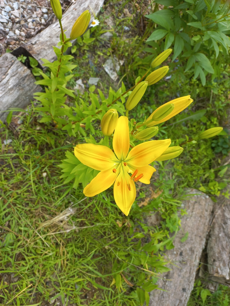 선달산캠핑장 이미지