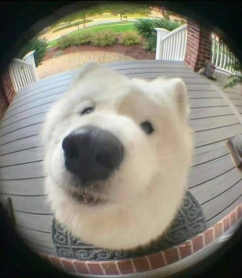 매팅클 이미지