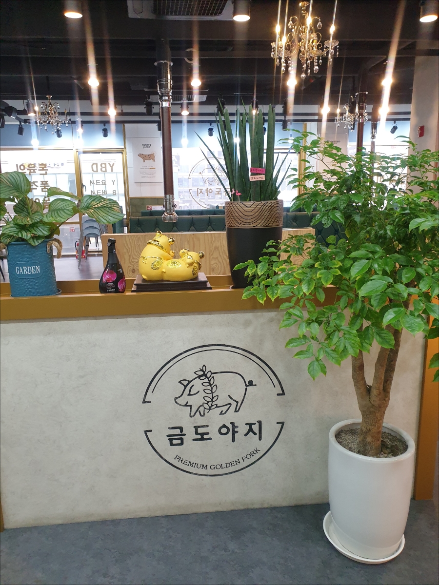 금도야지루원시티점 이미지