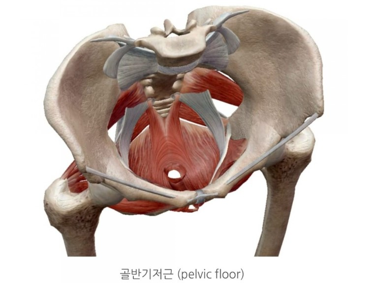 부산피티샵더원짐동래래미안점 이미지