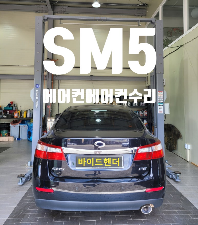 바이드핸더 이미지