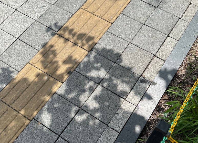 오름메디컬컴퍼니 이미지