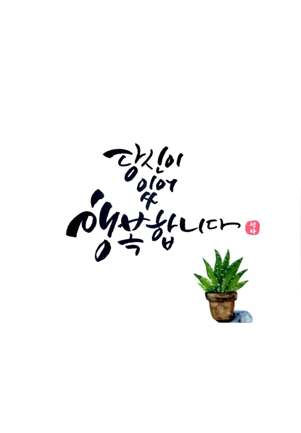 캘리스테이 이미지