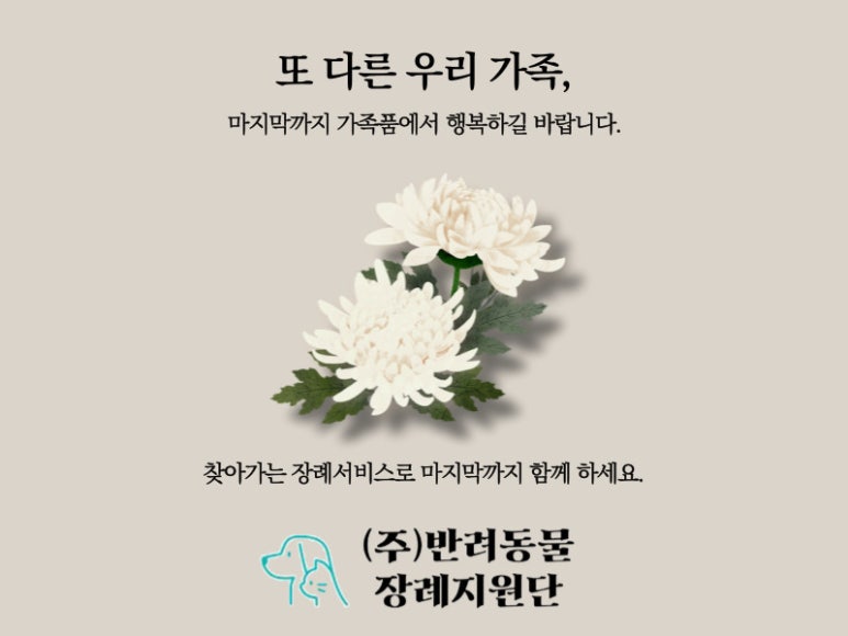 장례지원단 이미지
