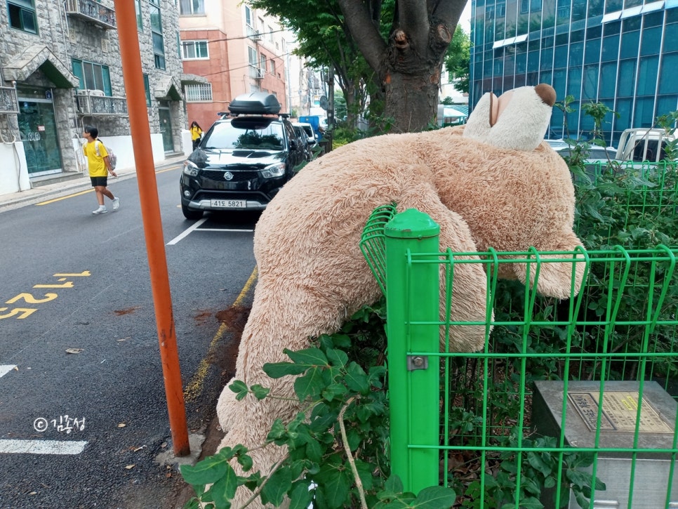 유기인형 이미지