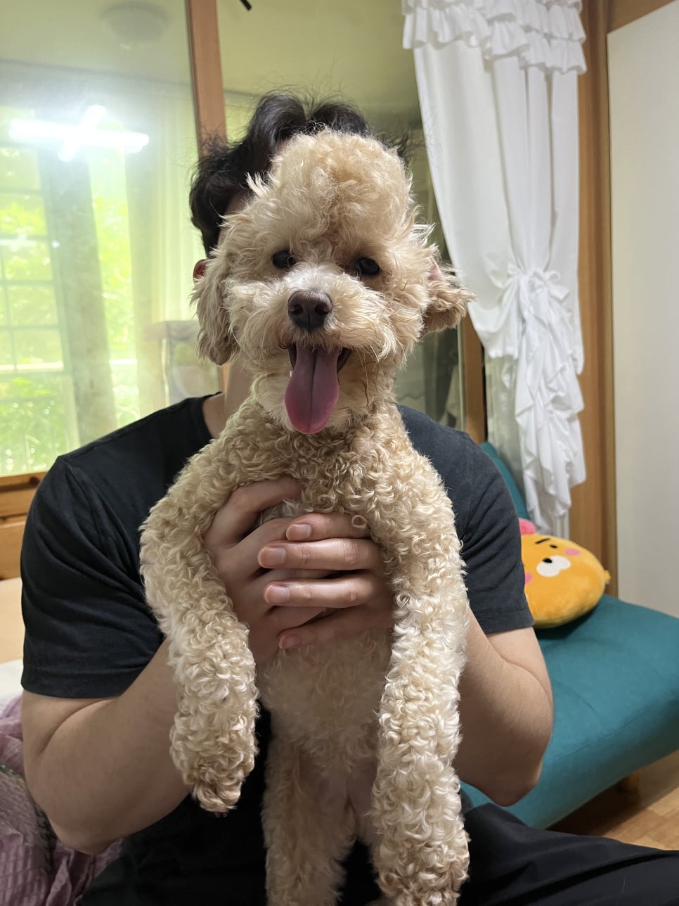 매머드익스프레스원마운트점 이미지
