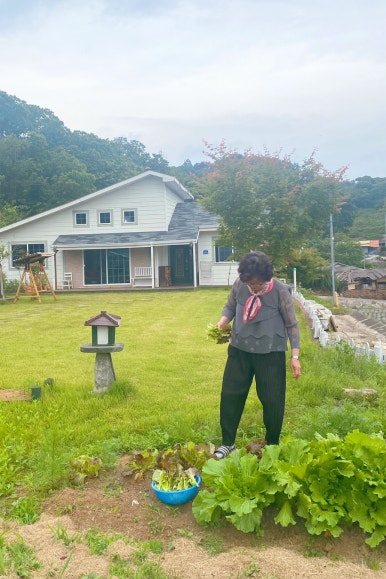 고니하우스 이미지