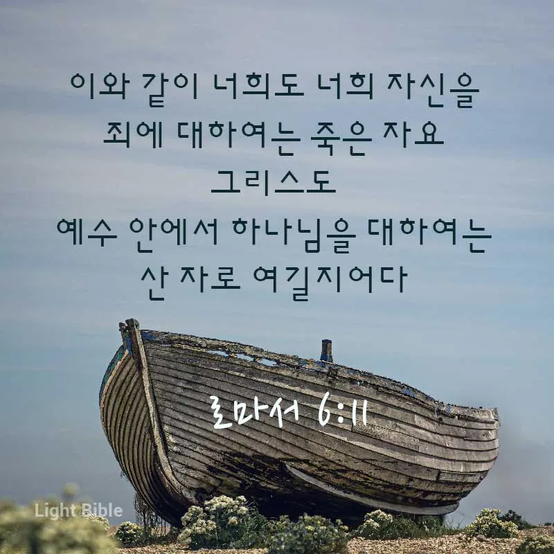 드림카정비 이미지