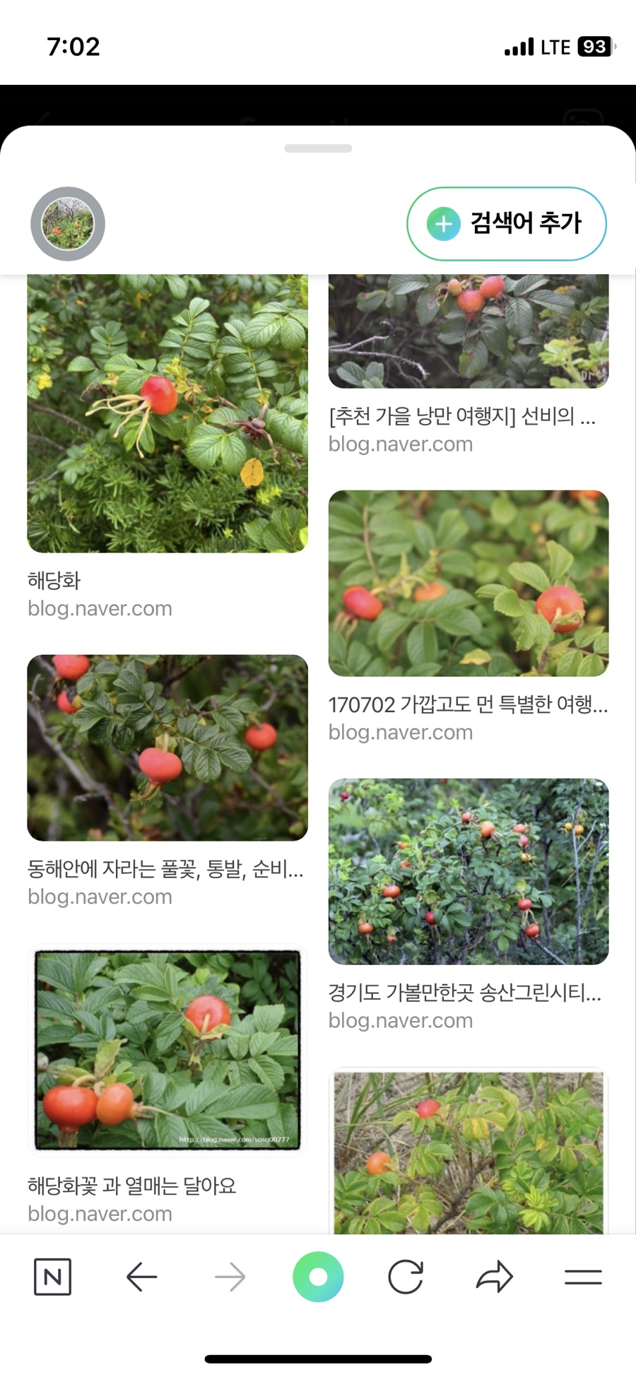 정화다방 이미지