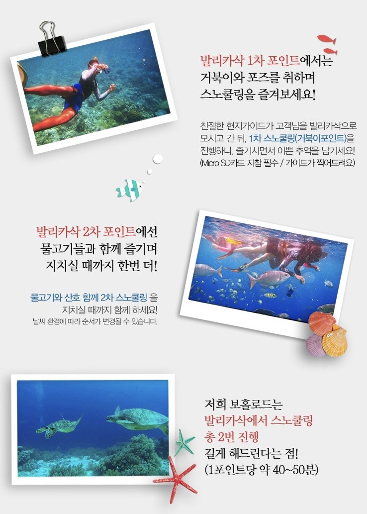 보홀로드 이미지