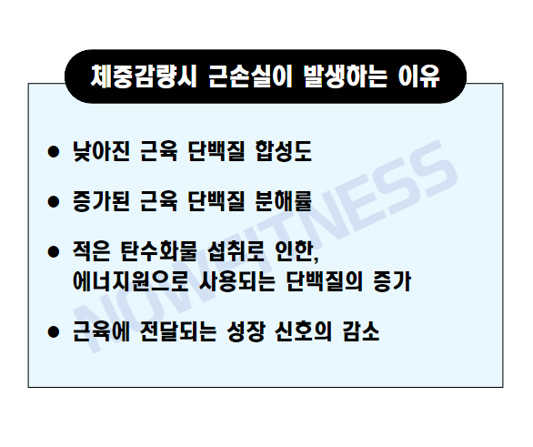 청주헬스장나우휘트니스 이미지