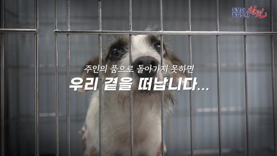 어나더필름 이미지