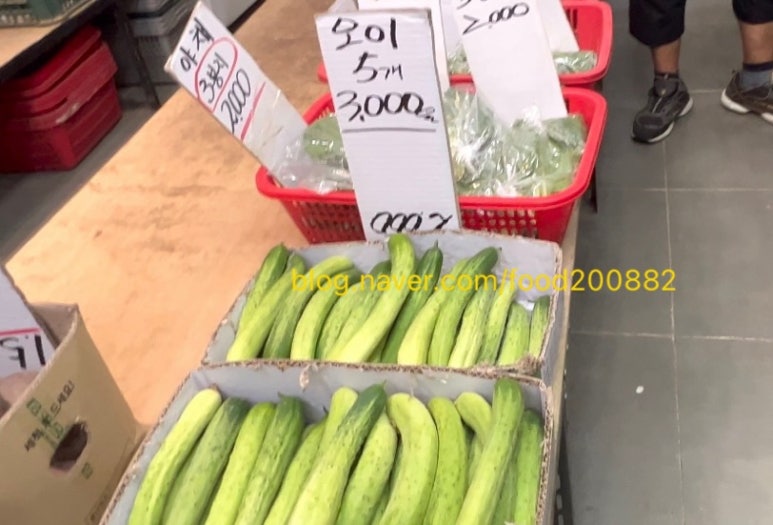 프로포즈야탑 이미지