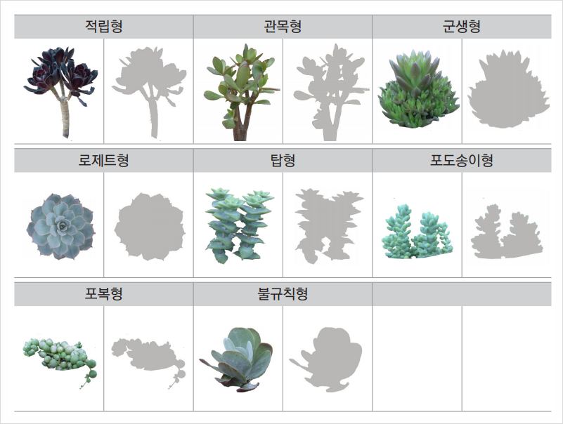 전원다육 이미지