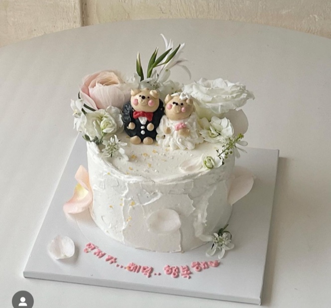 디자인몬트 이미지