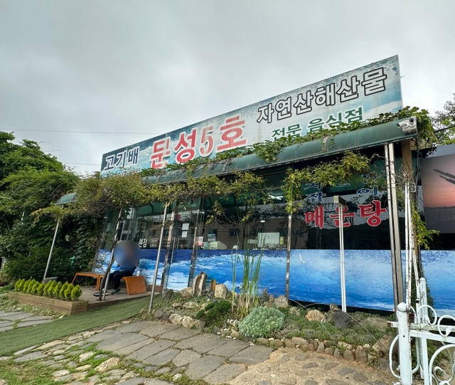 문성5호 이미지