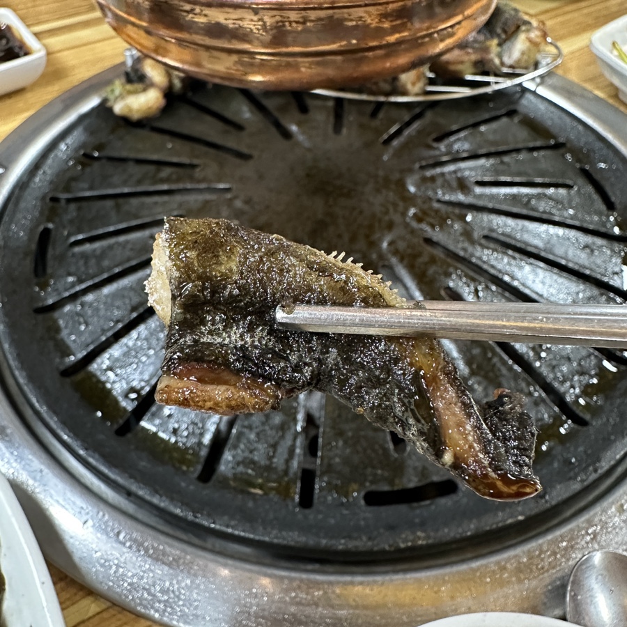 온양장어 이미지