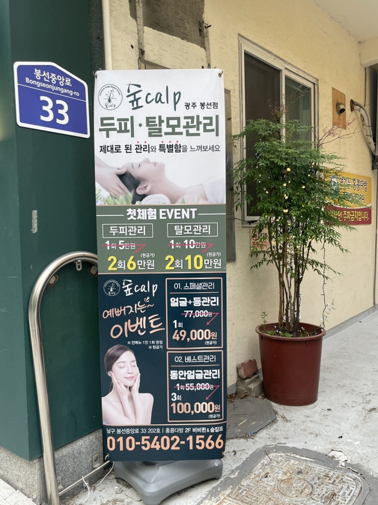 비비다방 이미지