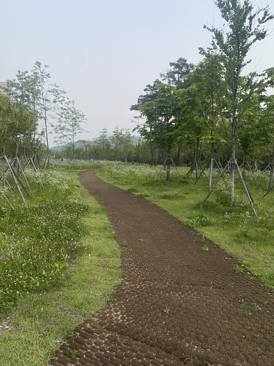 로또다방 이미지