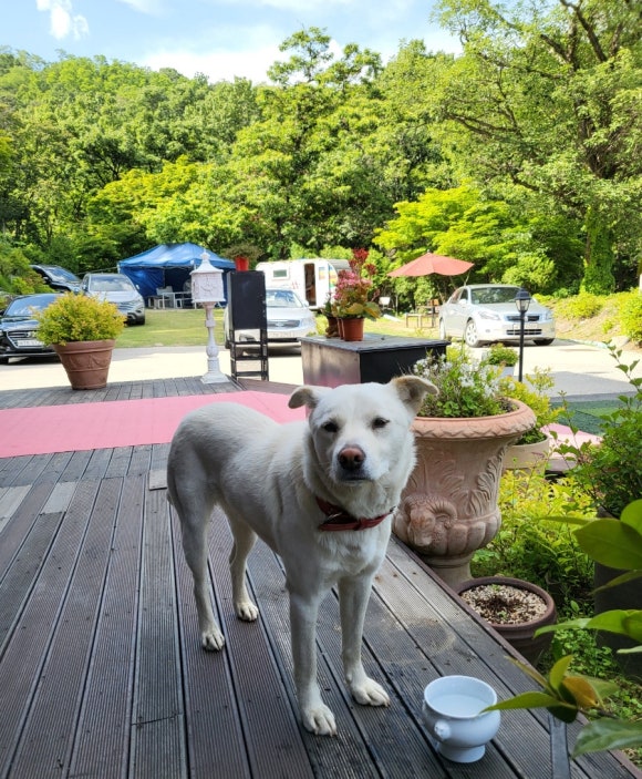 산아11 이미지