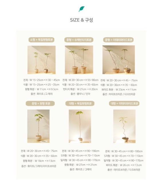 써니플랜트 이미지