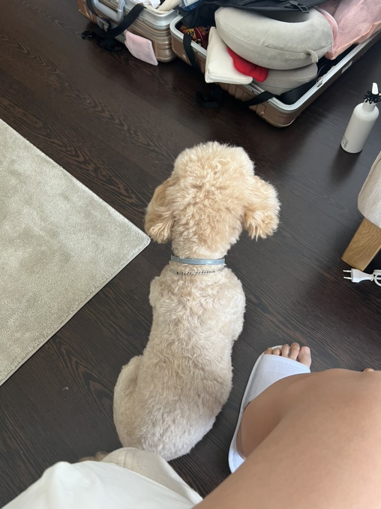 순덕민박 이미지