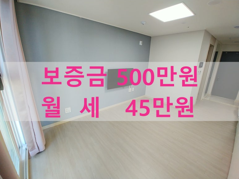 주식회사 라온베이 이미지
