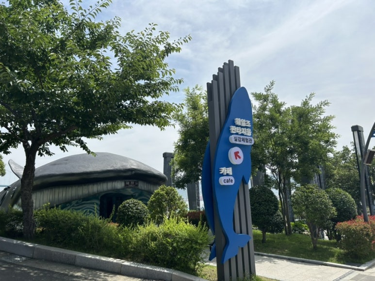 아나카페고래 이미지