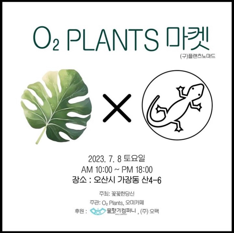 식집사마켓 이미지