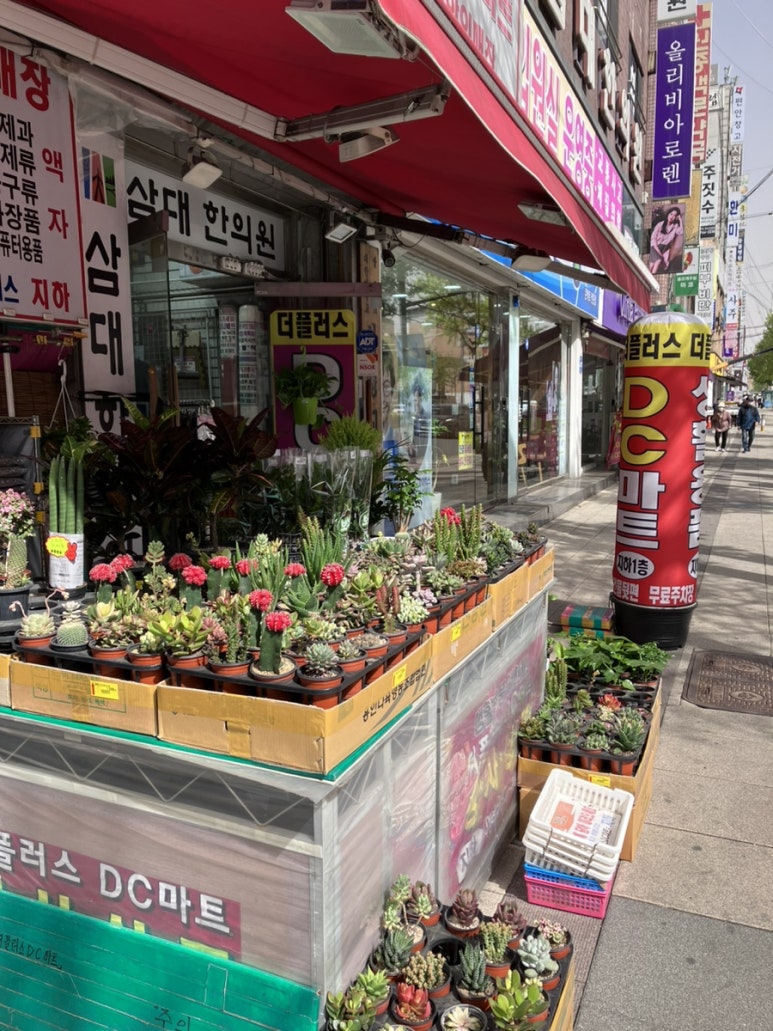 아울렛디씨마트 이미지