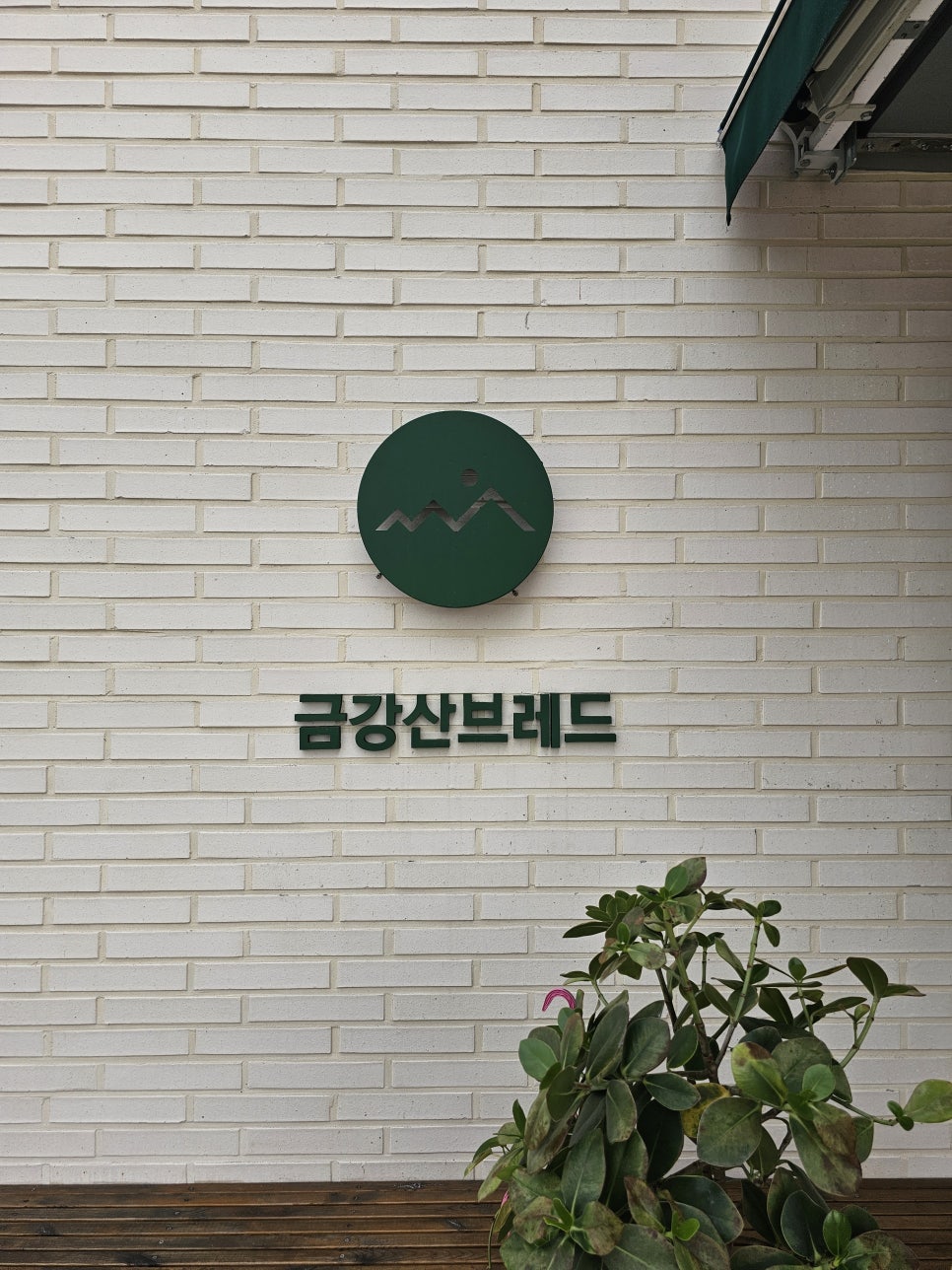 금강산브레드 이미지
