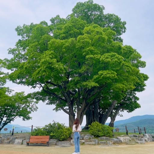 지수와로그 이미지