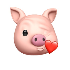 풍년식당 이미지