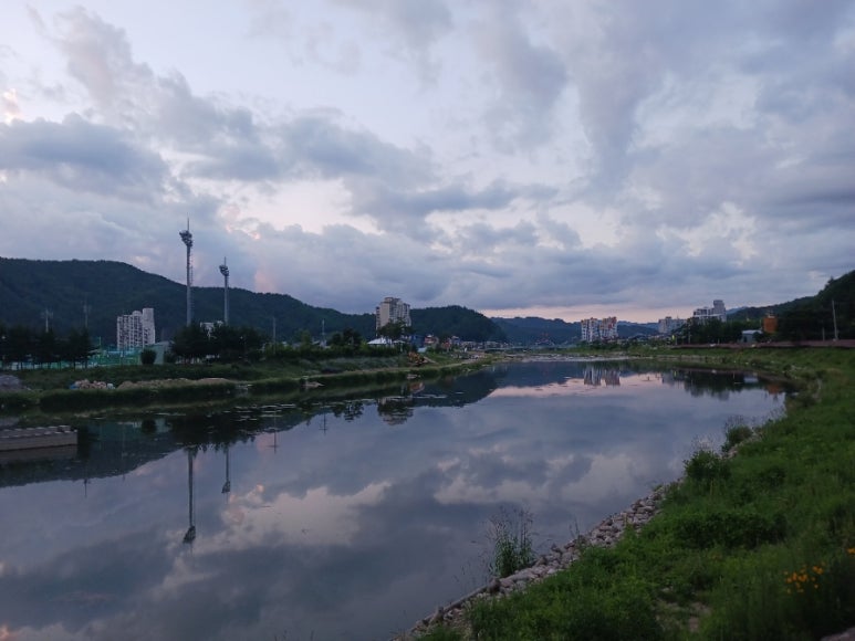 엘림커피 이미지