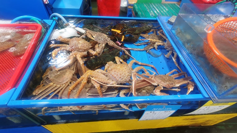 연화상회 이미지