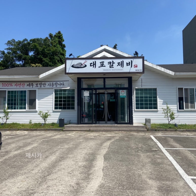 대포칼제비 이미지