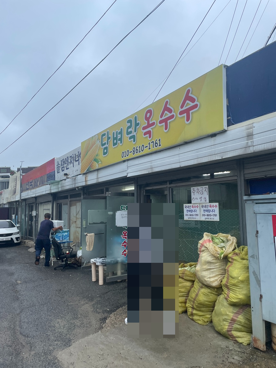 담벼락옥수수 이미지