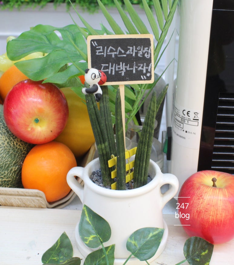 리수스과수원 이미지