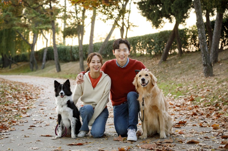 장례지원단 이미지