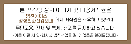 양천에이스정형외과신경외과의원 이미지
