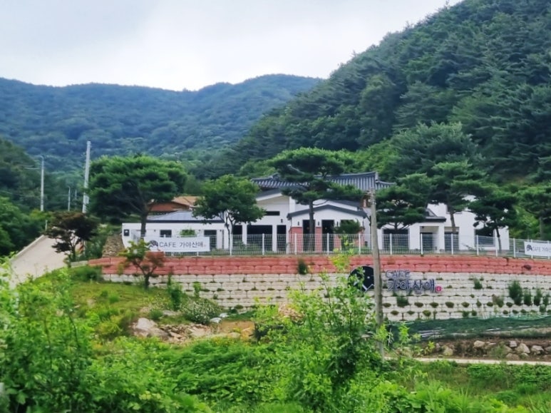 가야산애 이미지