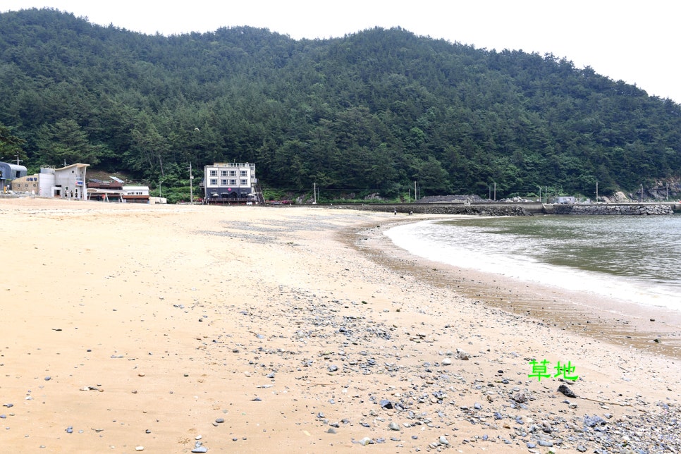 매종리바벨라 이미지