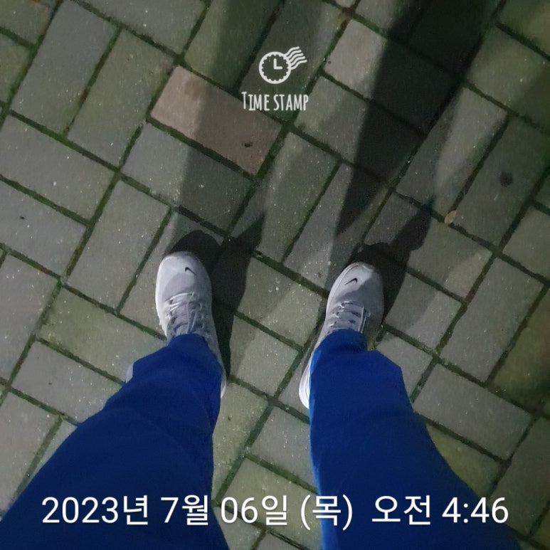 착오비 이미지