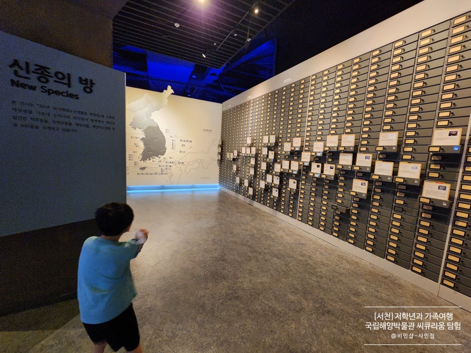 건우해양 이미지
