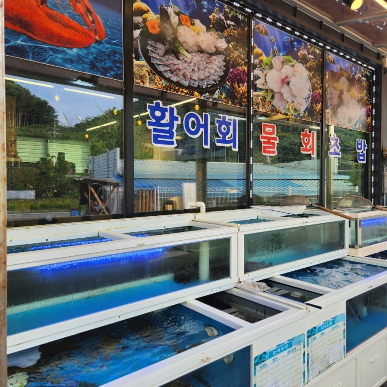 최선장수산 이미지