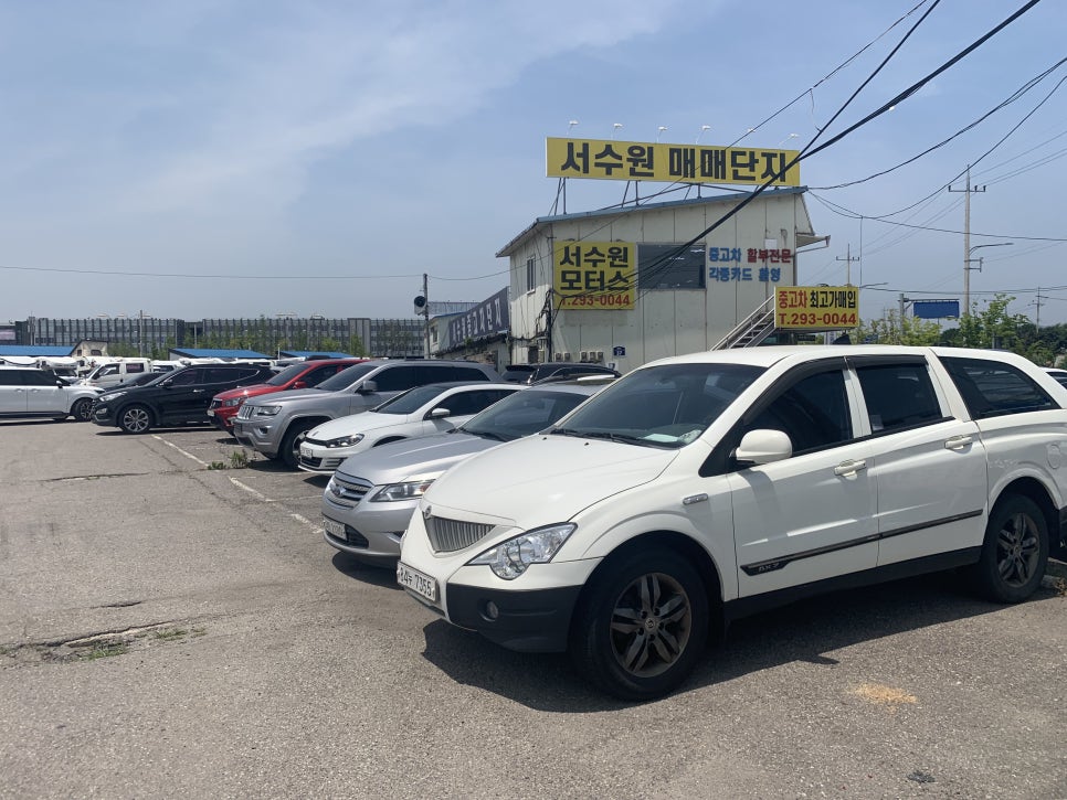 바이더카 이미지