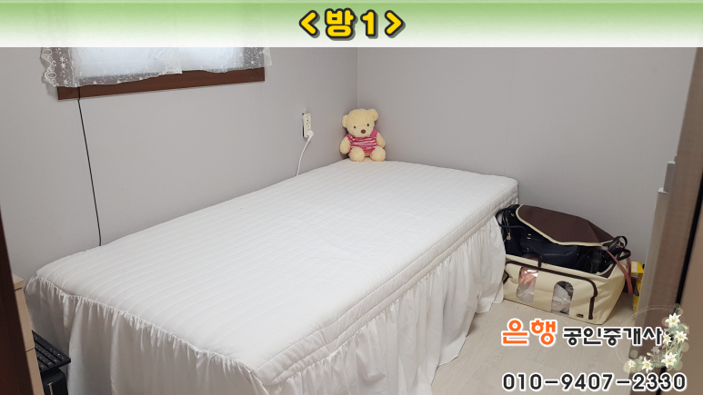 양지수선 이미지