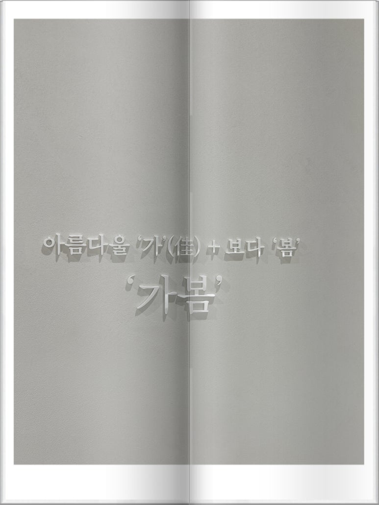봄에스테틱 이미지
