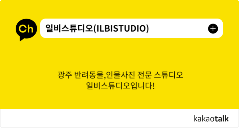 펫토그래퍼 이미지